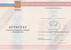 Аттестат за 11 класс с 2010 по 2013 годы